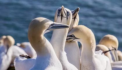 一对祖孙被超速车辆撞身亡：司机十余日后病逝，死者家属向多方提出索赔