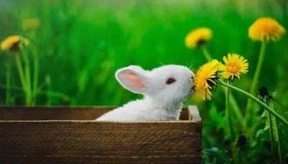 延迟退休，上岗证只能用到60岁？代表建议做好制度性衔接