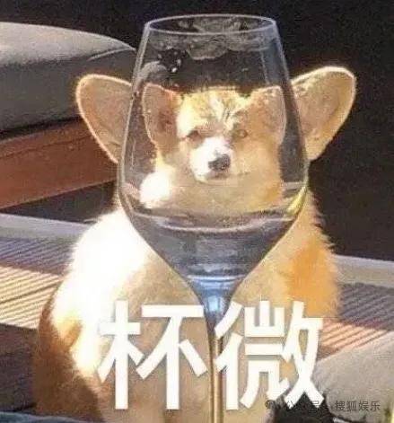 这场晚会台下简直是追星现场，名场面太多了吧？