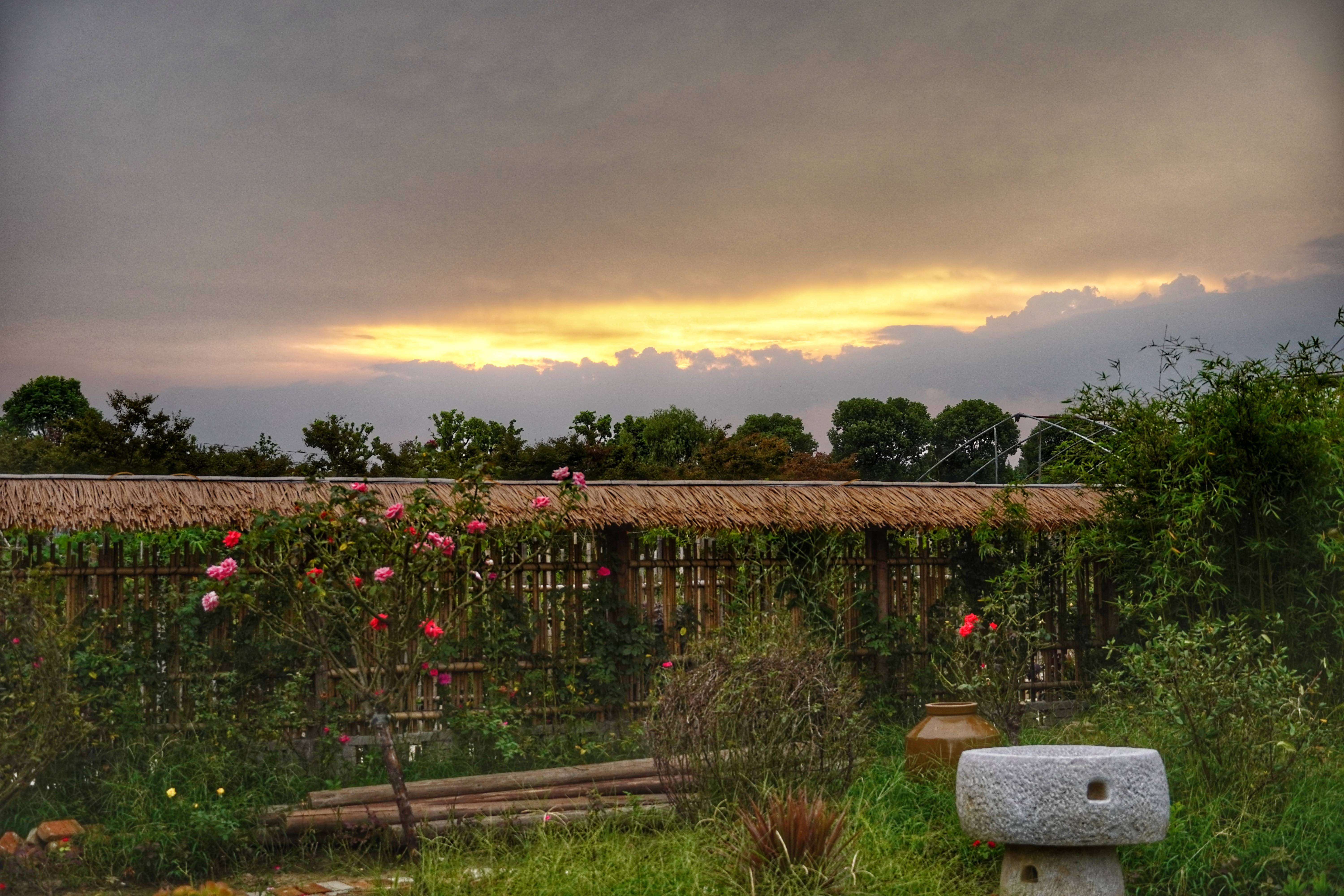 从报社到寺院，95后打工人把经历说成脱口秀