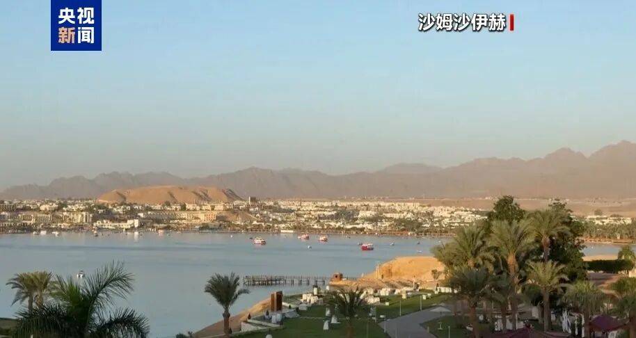 哈马斯代表团：与以色列间接谈判取得积极进展，联合国秘书长敦促各方立即停止敌对行动