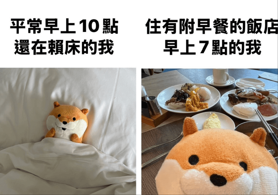 人生建议：女性早餐真应该多吃点脂肪！