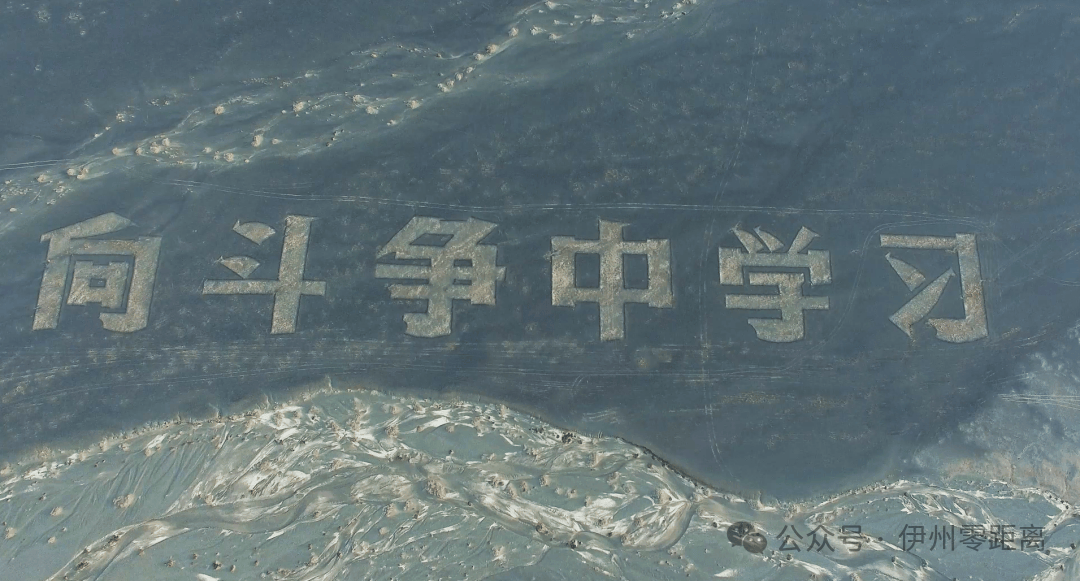 戈壁滩“为人民服务”大字遭破坏 新疆哈密：积极谋划整体保护方案