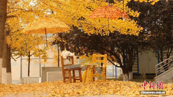 大连外国语大学保洁阿姨化身“大地艺术家” 用银杏叶装点校园温情