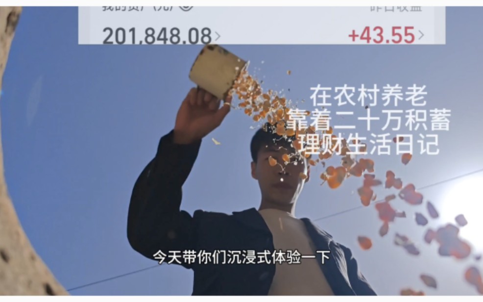 二十万理财(二十万理财一年收益)