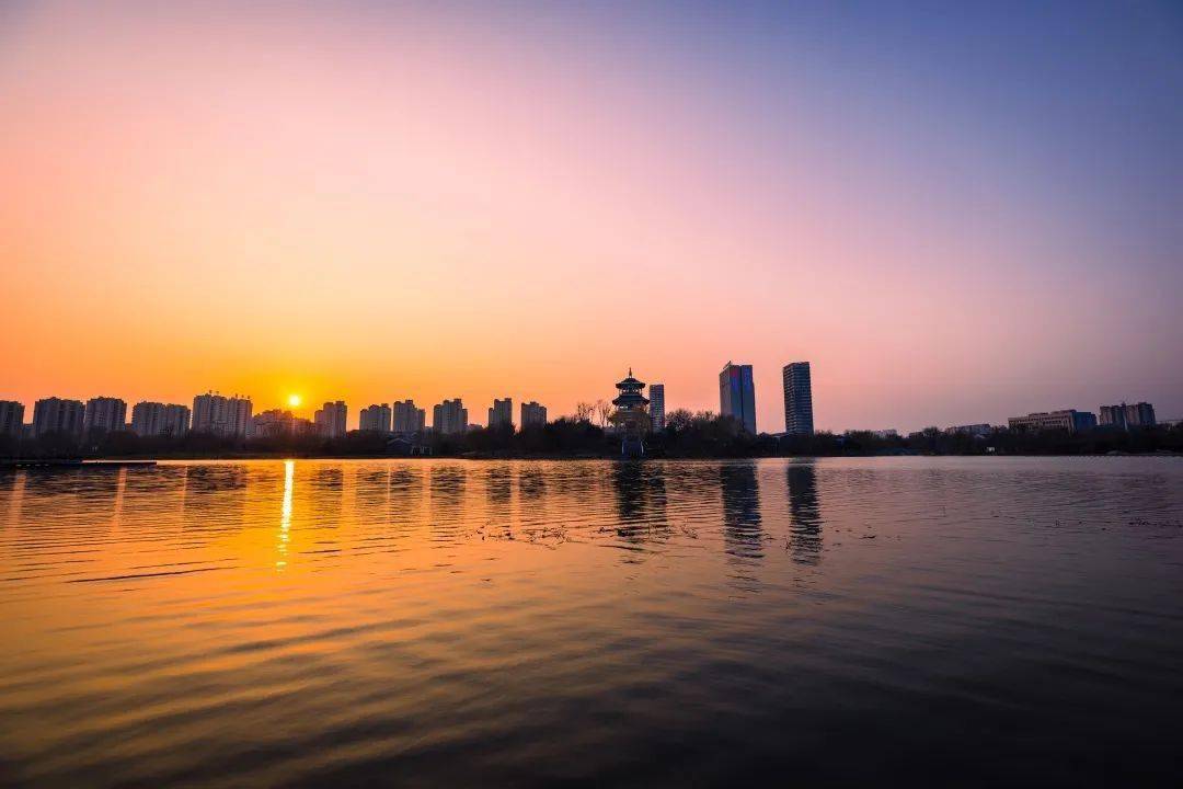 宁阳理财(宁阳理财张文红)