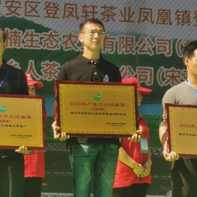 宁阳理财(宁阳理财公司陈焕坡简历)